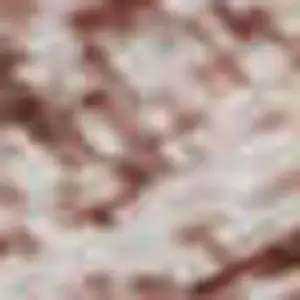 Photo of Blush And Pink Oriental Washable Area Rug With UV Protection