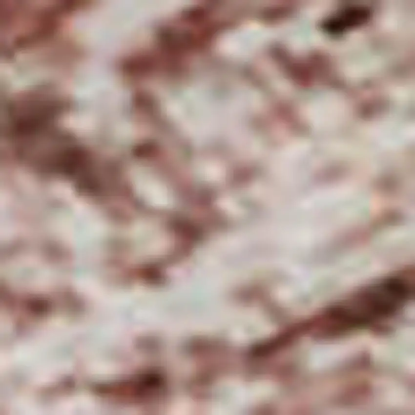 Blush And Pink Oriental Washable Area Rug With UV Protection Photo 3