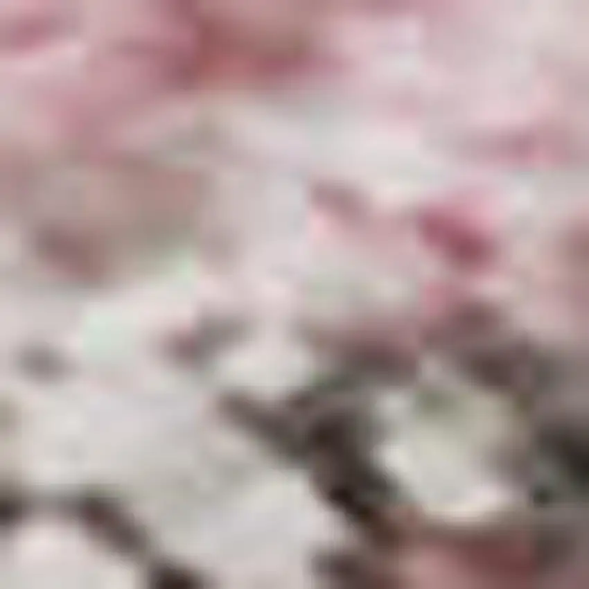 Blush And Wheat Abstract Washable Area Rug With UV Protection Photo 1