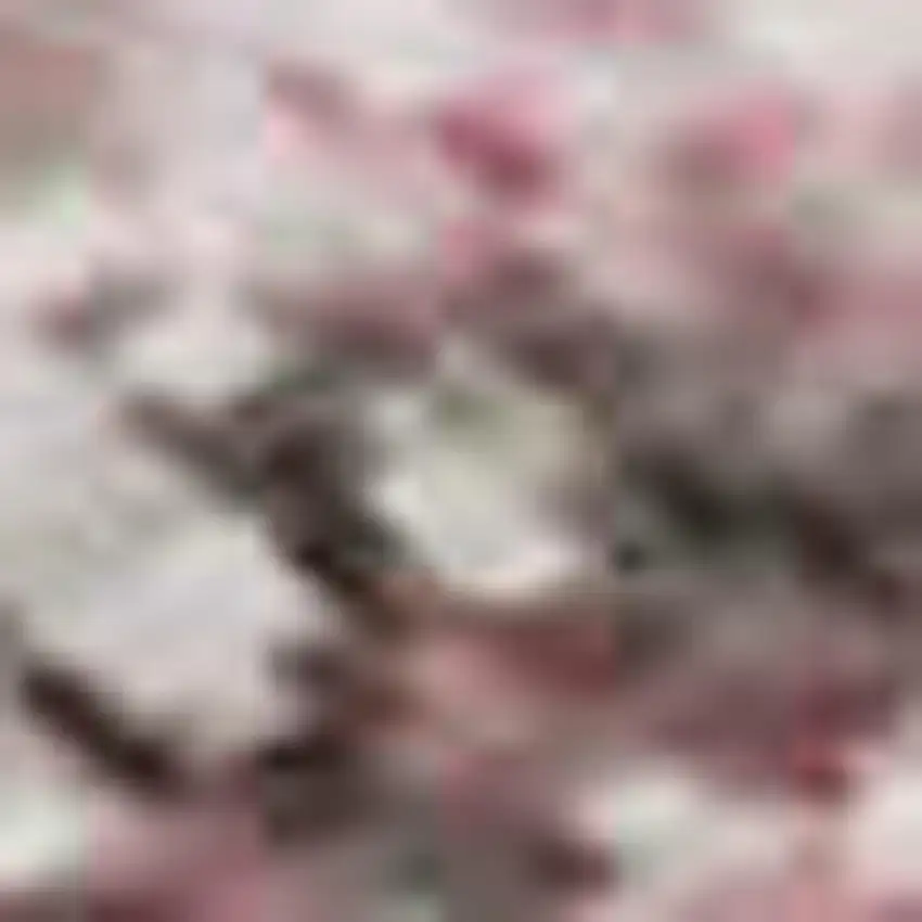 Blush And Wheat Abstract Washable Area Rug With UV Protection Photo 1