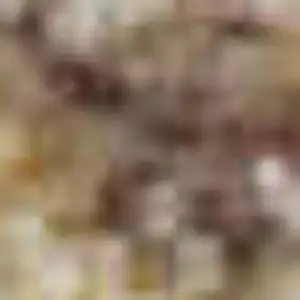 Photo of Blush Gold And Ivory Abstract Washable Area Rug With UV Protection