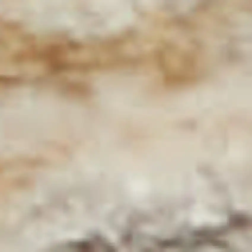 Brick Red Gray And Cream Floral Non Skid Area Rug With Fringe Photo 3