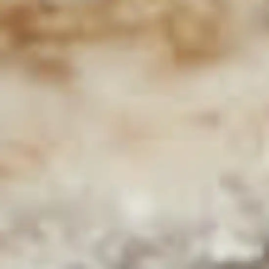 Brick Red Gray And Cream Floral Non Skid Area Rug With Fringe Photo 2