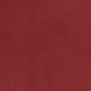 Photo of Brick Red Non Skid Indoor Outdoor Area Rug