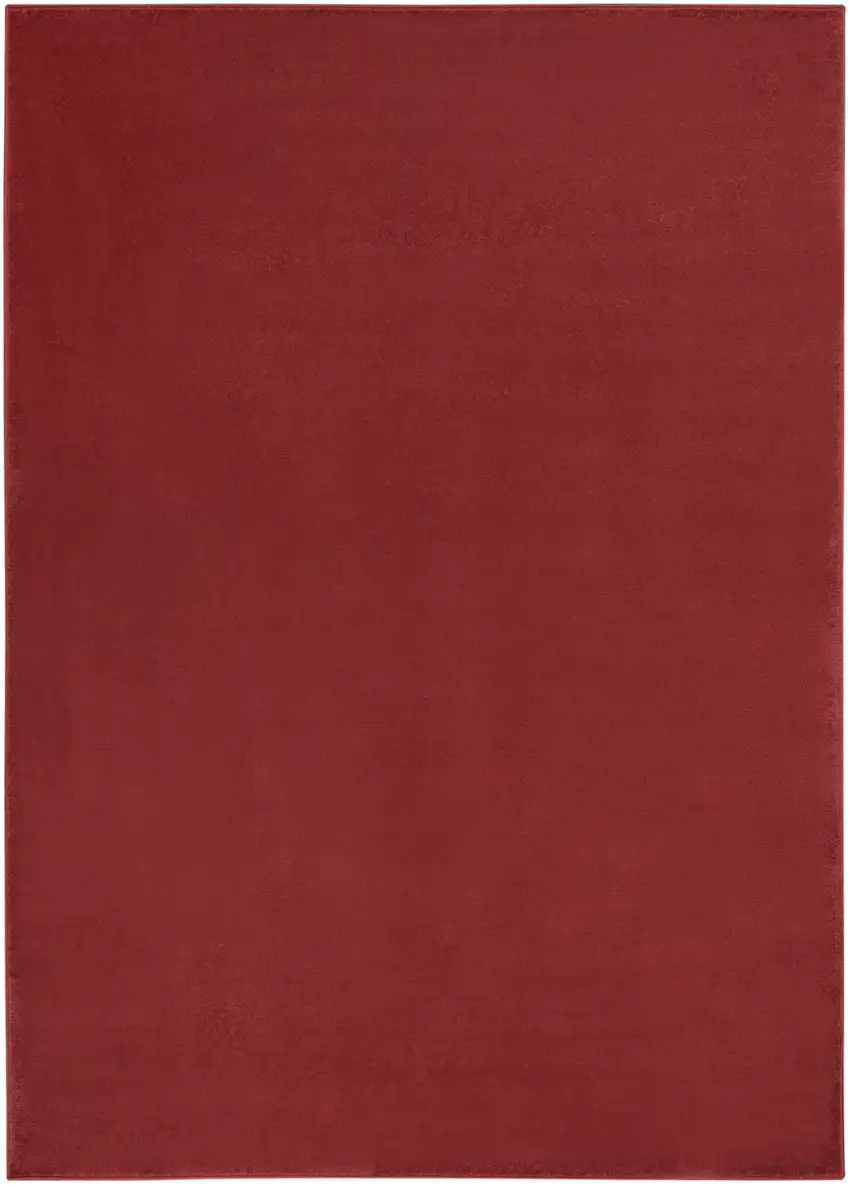 Brick Red Non Skid Indoor Outdoor Area Rug Photo 1