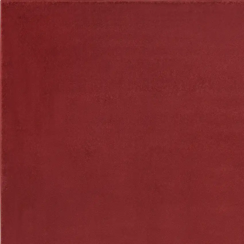 Brick Red Stain Resistant Indoor Outdoor Area Rug Photo 3