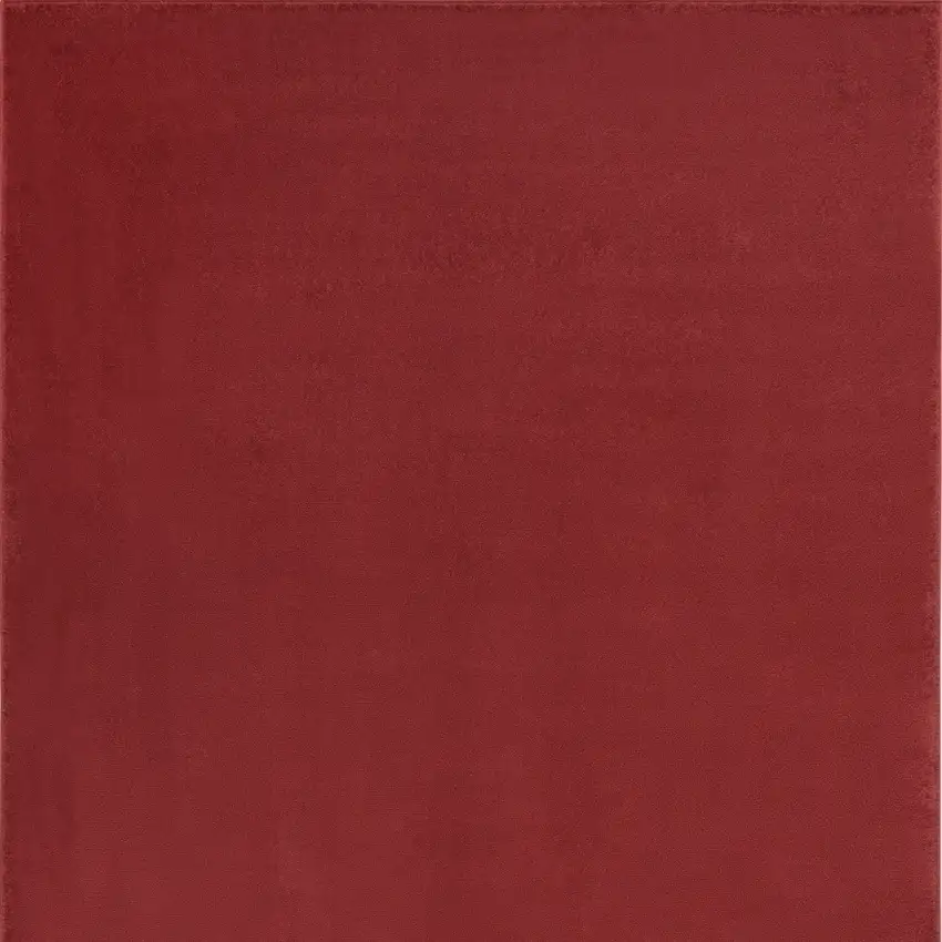 Brick Red Stain Resistant Indoor Outdoor Area Rug Photo 4