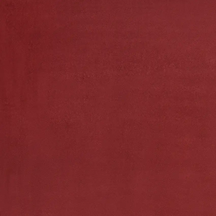 Brick Red Stain Resistant Indoor Outdoor Area Rug Photo 3
