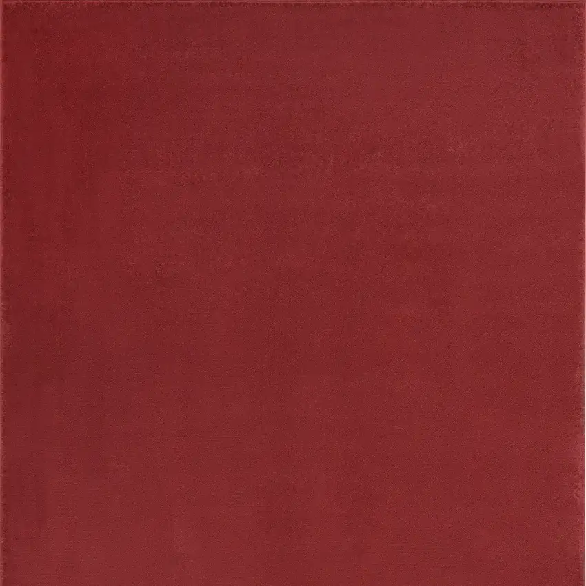 Brick Red Non Skid Indoor Outdoor Area Rug Photo 4