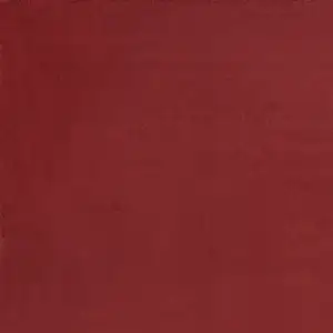 Photo of Brick Red Non Skid Indoor Outdoor Area Rug