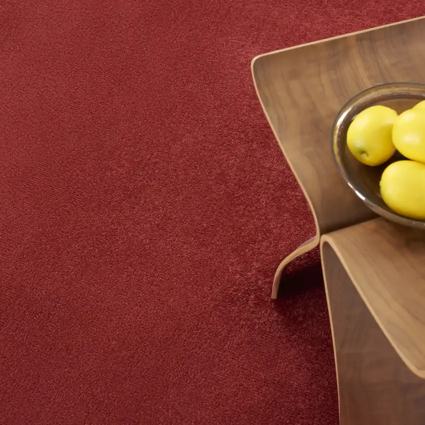 Brick Red Stain Resistant Indoor Outdoor Area Rug Photo 4