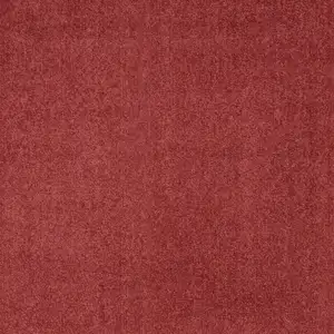 Photo of Brick Red Non Skid Indoor Outdoor Area Rug