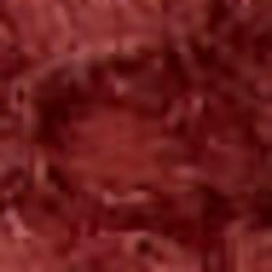 Brick Red Indoor Outdoor Runner Rug Photo 8