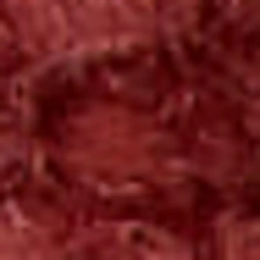 Brick Red Indoor Outdoor Runner Rug Photo 8