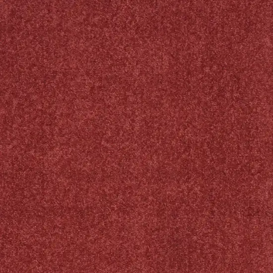 Brick Red Indoor Outdoor Runner Rug Photo 3