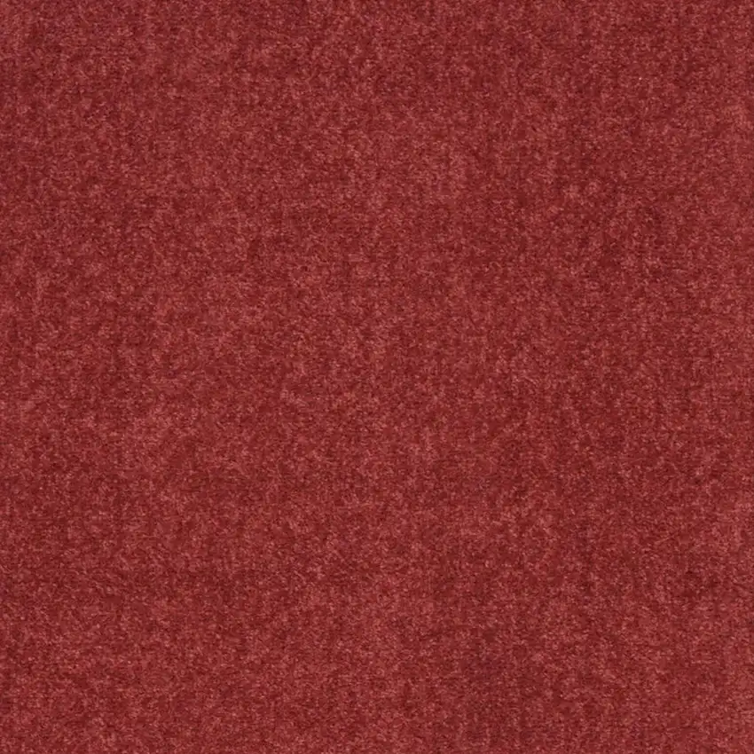 Brick Red Indoor Outdoor Runner Rug Photo 3
