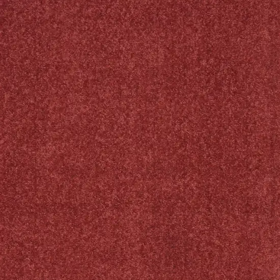 Brick Red Indoor Outdoor Runner Rug Photo 6