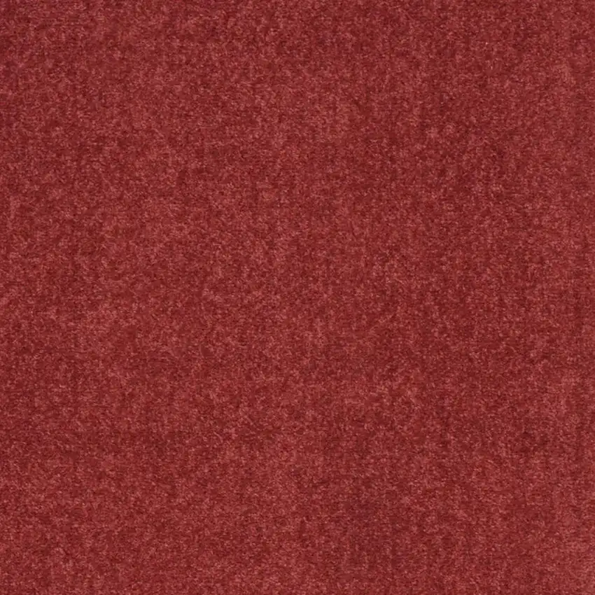 Brick Red Indoor Outdoor Runner Rug Photo 6