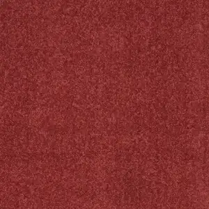 Photo of Brick Red Non Skid Indoor Outdoor Runner Rug