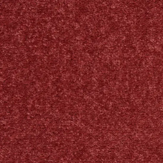 Brick Red Round Indoor Outdoor Area Rug Photo 9