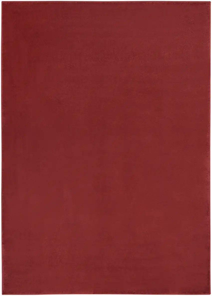 Brick Red Stain Resistant Indoor Outdoor Area Rug Photo 3