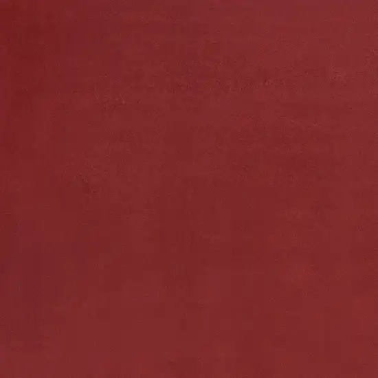 Brick Red Stain Resistant Indoor Outdoor Area Rug Photo 6