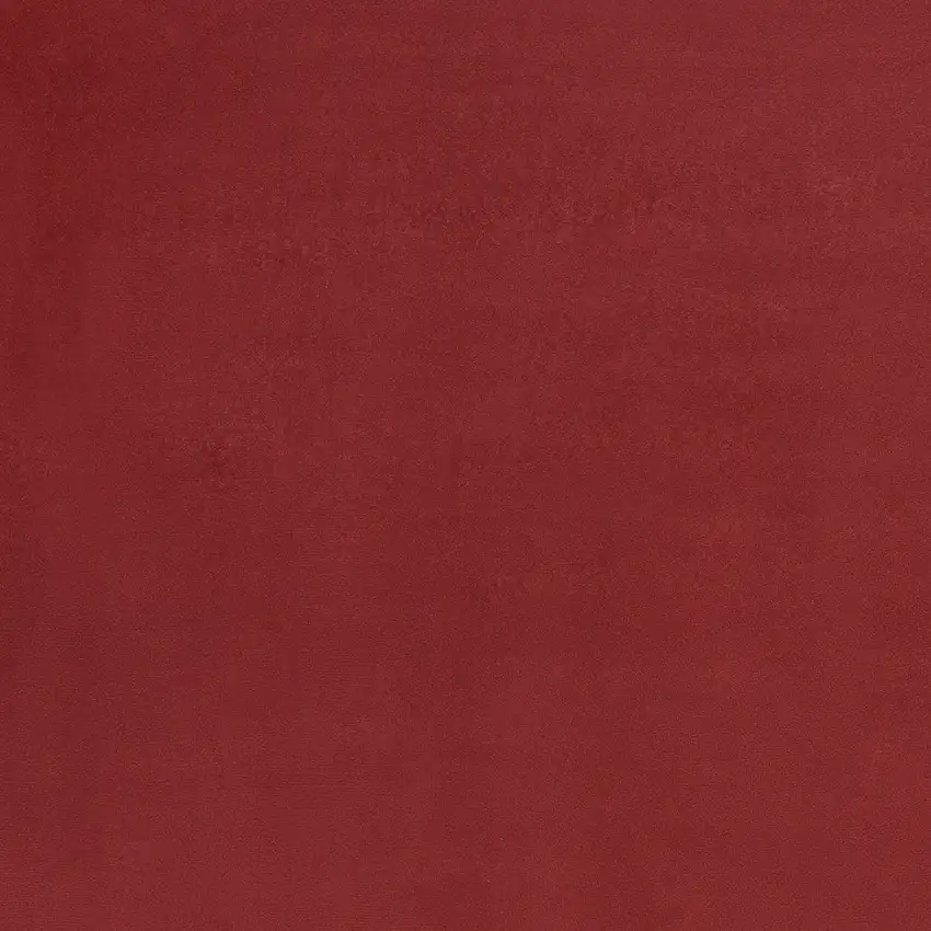 Brick Red Stain Resistant Indoor Outdoor Area Rug Photo 6