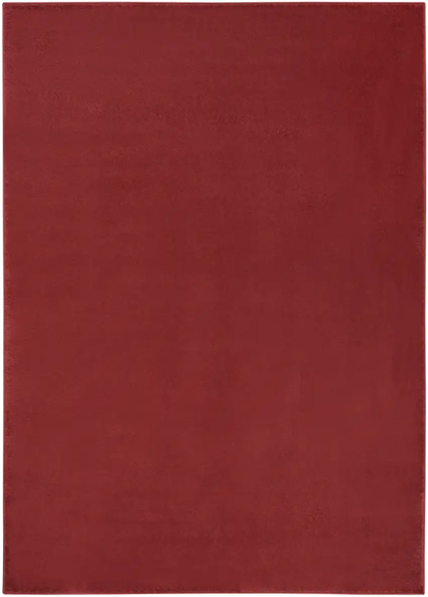 Brick Red Stain Resistant Indoor Outdoor Area Rug Photo 2