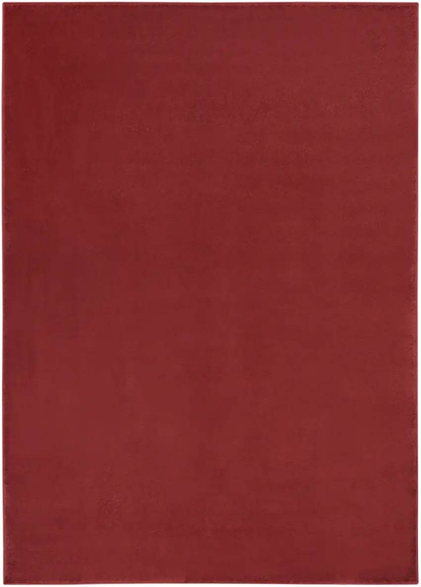 Brick Red Stain Resistant Indoor Outdoor Area Rug Photo 4