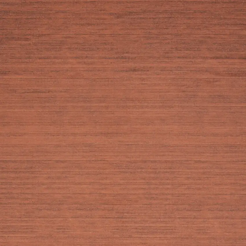 Brick Red Washable Area Rug Photo 5