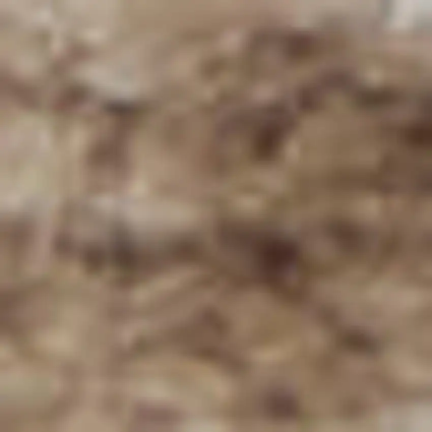 Brown Abstract Power Loom Area Rug Photo 3