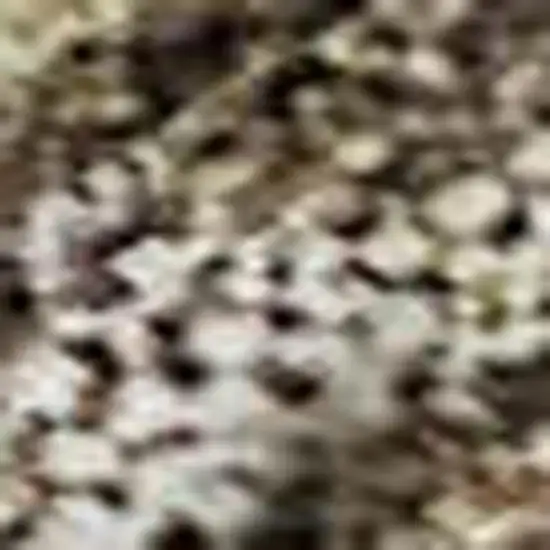 Brown And Beige Abstract Washable Area Rug With UV Protection Photo 2