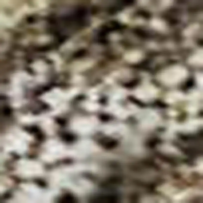 Brown And Beige Abstract Washable Area Rug With UV Protection Photo 2