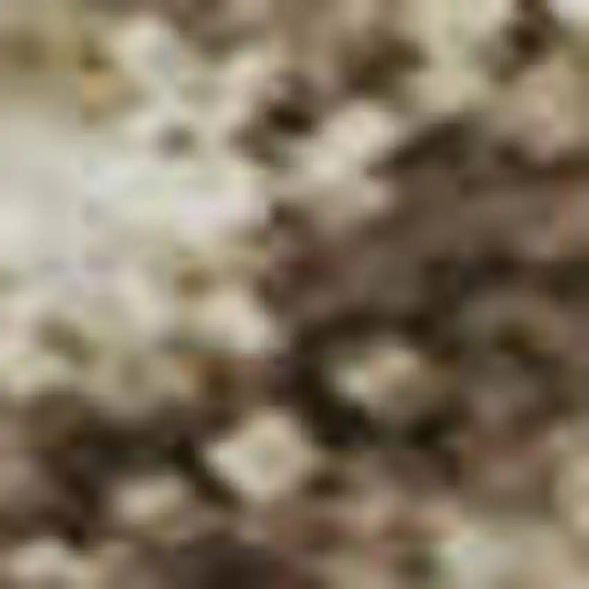 Brown And Beige Chevron Washable Area Rug With UV Protection Photo 3