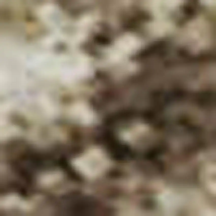 Brown And Beige Chevron Washable Area Rug With UV Protection Photo 3