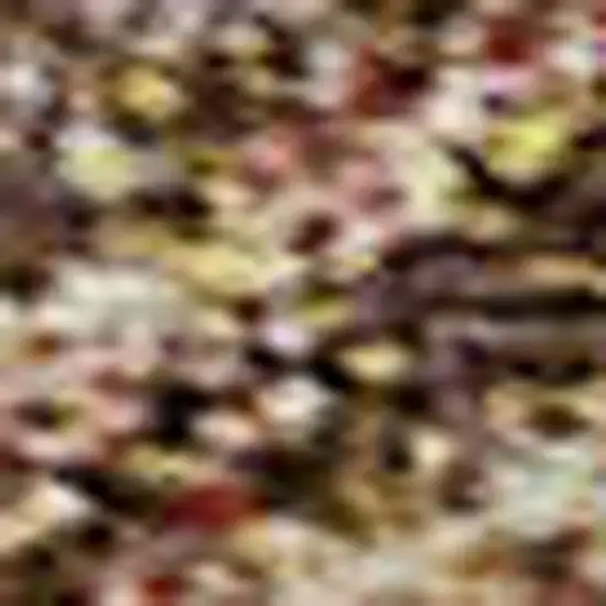 Brown And Beige Damask Washable Area Rug With UV Protection Photo 2