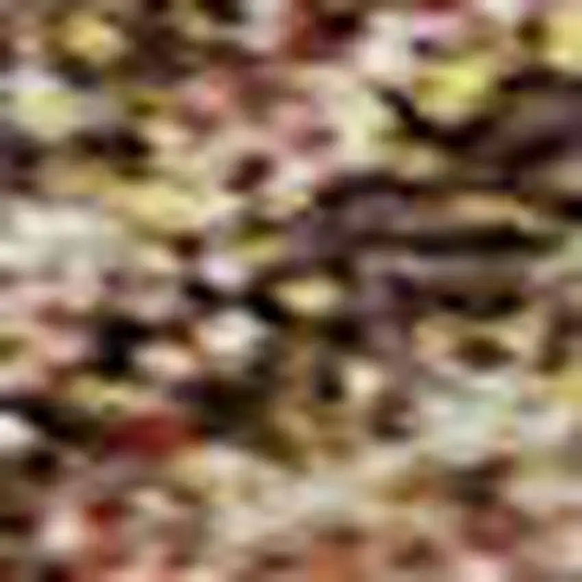 Brown And Beige Damask Washable Area Rug With UV Protection Photo 2