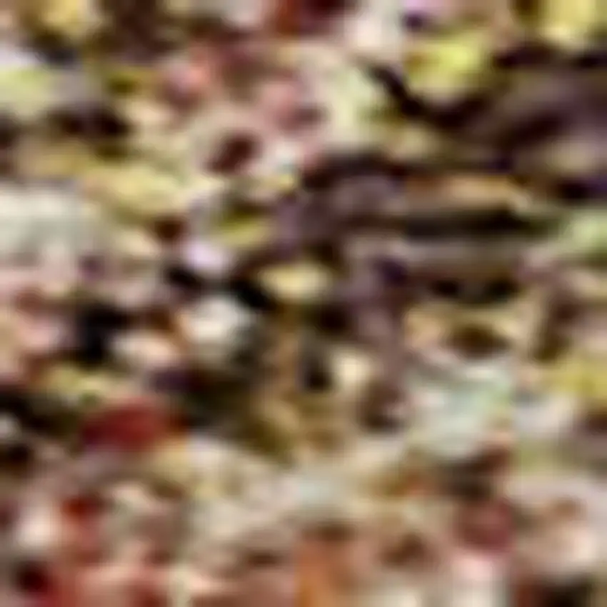 Brown And Beige Damask Washable Area Rug With UV Protection Photo 2