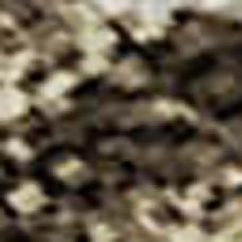 Brown And Beige Floral Washable Area Rug With UV Protection Photo 3