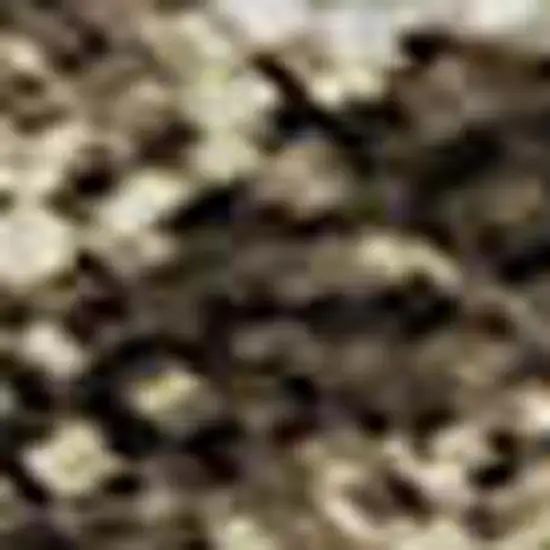 Brown And Beige Floral Washable Area Rug With UV Protection Photo 3