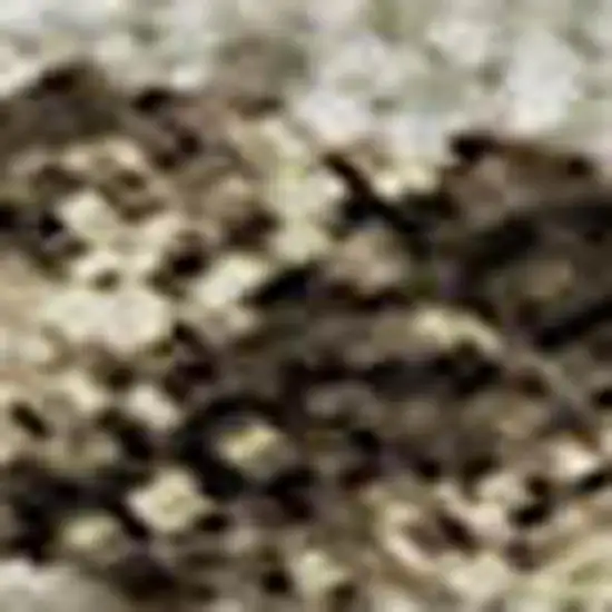 Brown And Beige Floral Washable Area Rug With UV Protection Photo 4