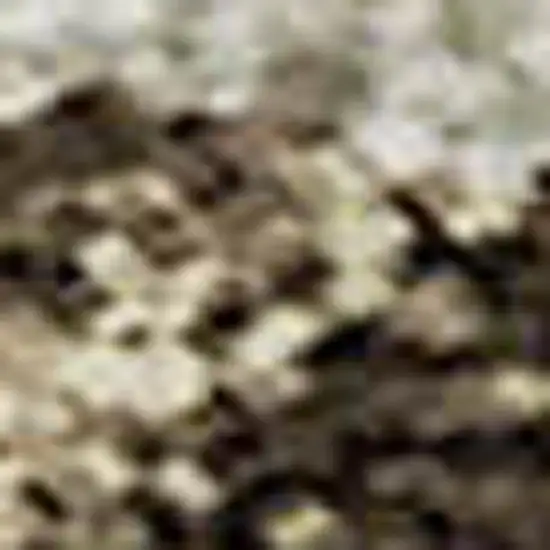 Brown And Beige Floral Washable Area Rug With UV Protection Photo 3