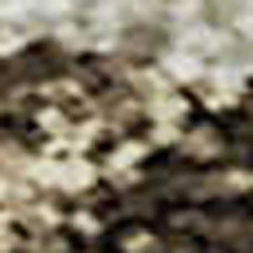 Brown And Beige Floral Washable Area Rug With UV Protection Photo 3