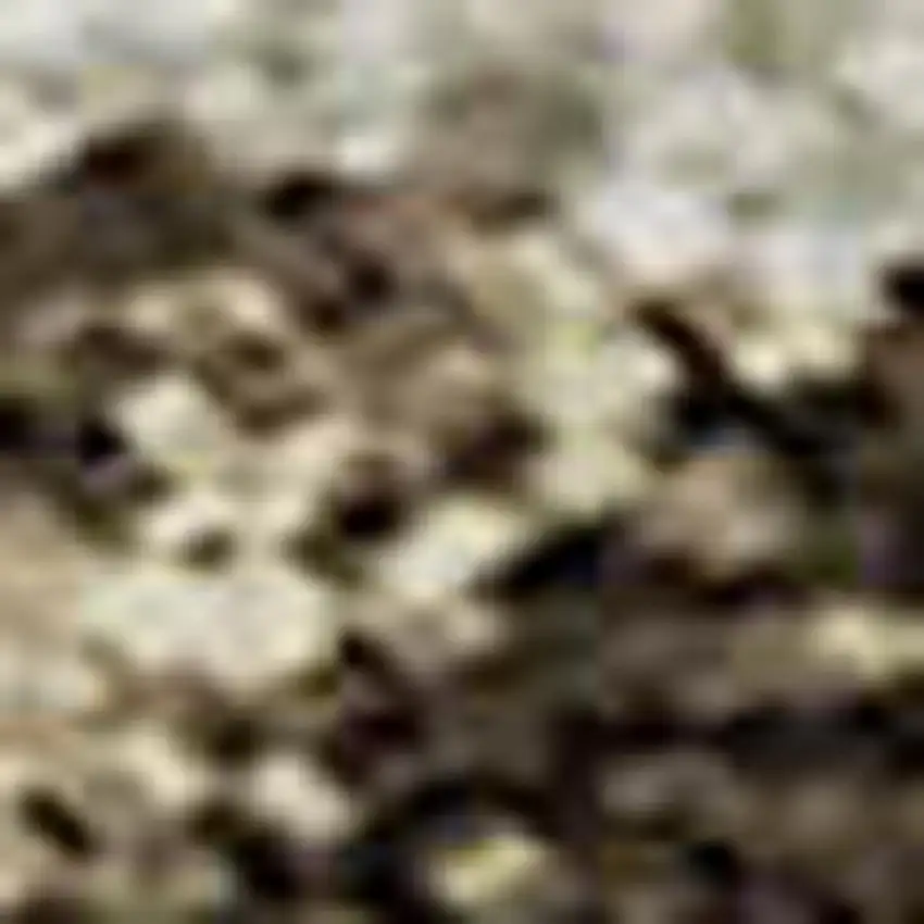 Brown And Beige Floral Washable Area Rug With UV Protection Photo 3