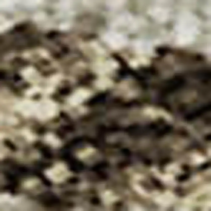 Brown And Beige Floral Washable Area Rug With UV Protection Photo 4