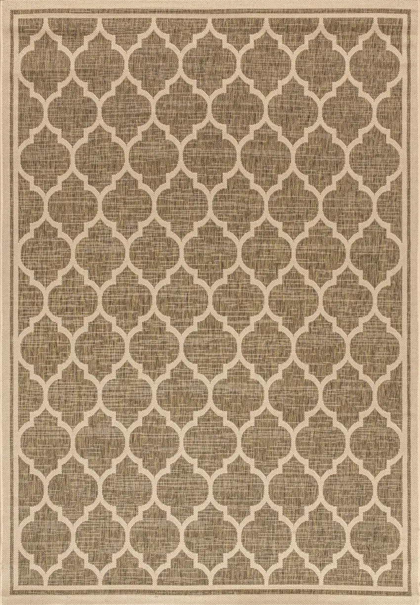 Brown And Beige Geometric Indoor Outdoor Area Rug Photo 3