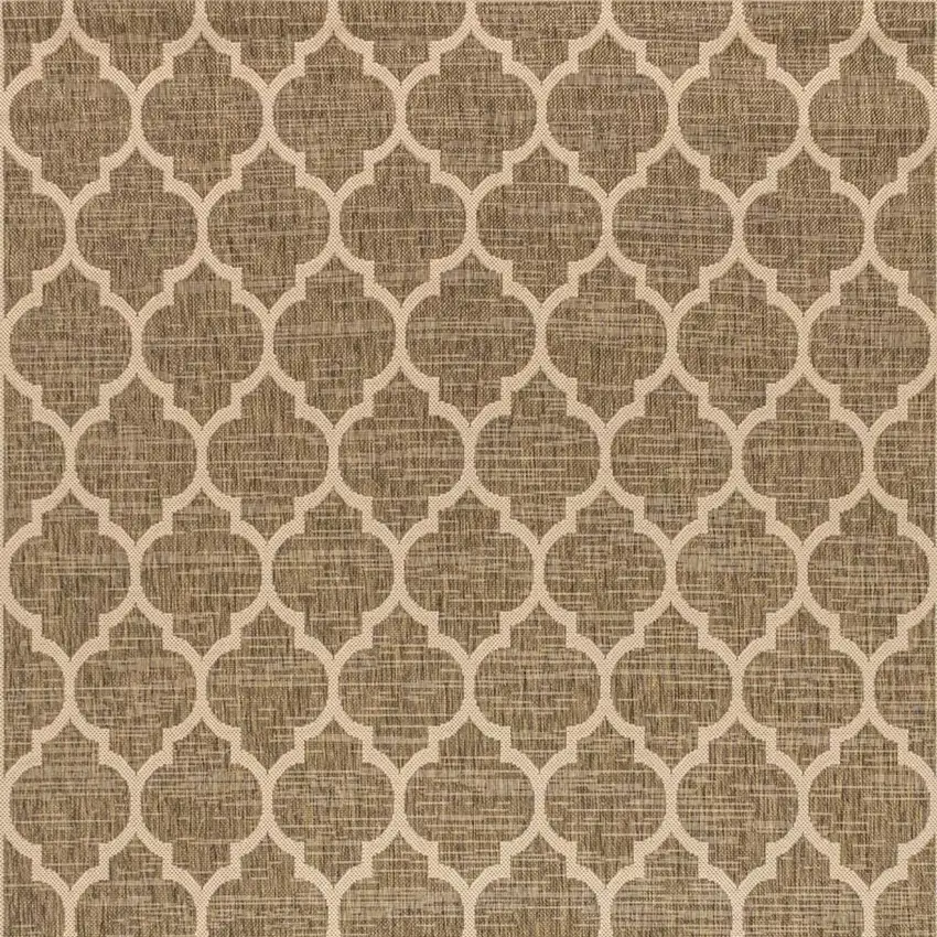 Brown And Beige Geometric Indoor Outdoor Area Rug Photo 2