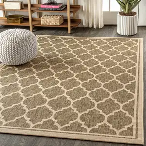 Photo of Brown And Beige Geometric Indoor Outdoor Area Rug