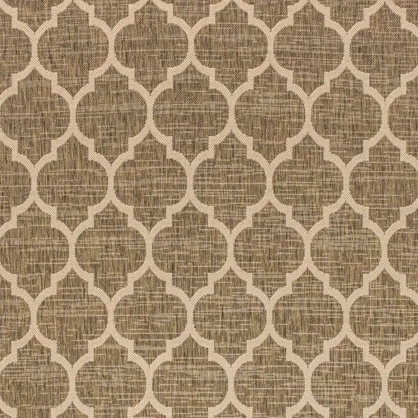 Brown And Beige Geometric Indoor Outdoor Area Rug Photo 2