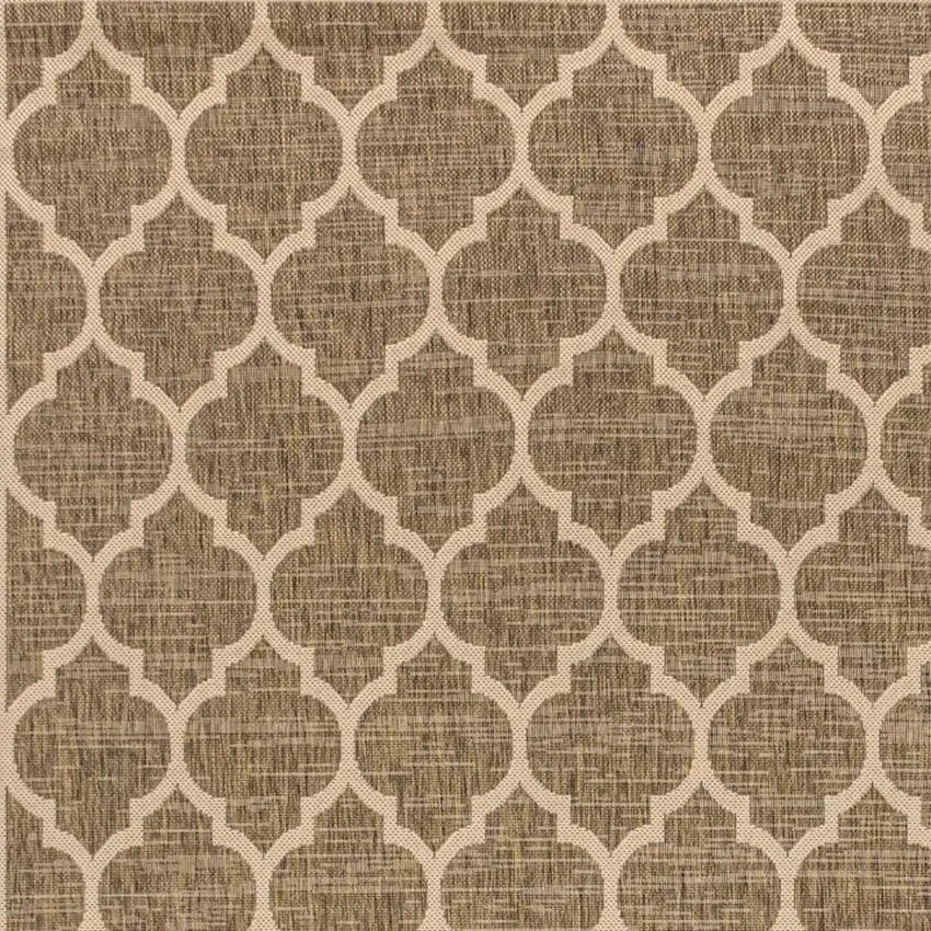 Brown And Beige Geometric Indoor Outdoor Area Rug Photo 2